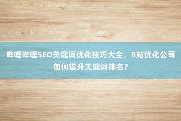 哔哩哔哩SEO关键词优化技巧大全，B站优化公司如何提升关键词排名？