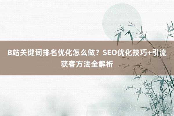 B站关键词排名优化怎么做？SEO优化技巧+引流获客方法全解析