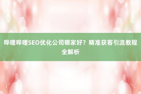 哔哩哔哩SEO优化公司哪家好？精准获客引流教程全解析
