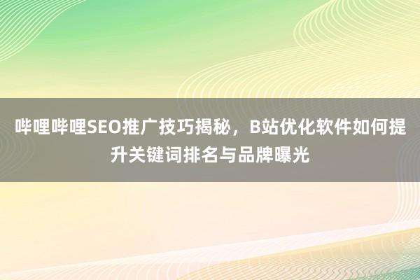 哔哩哔哩SEO推广技巧揭秘，B站优化软件如何提升关键词排名与品牌曝光