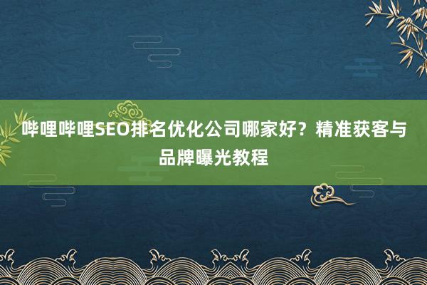 哔哩哔哩SEO排名优化公司哪家好？精准获客与品牌曝光教程