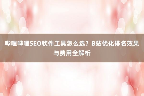 哔哩哔哩SEO软件工具怎么选？B站优化排名效果与费用全解析