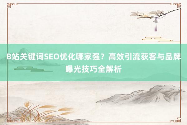 B站关键词SEO优化哪家强？高效引流获客与品牌曝光技巧全解析
