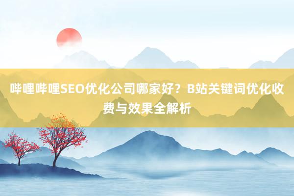 哔哩哔哩SEO优化公司哪家好？B站关键词优化收费与效果全解析