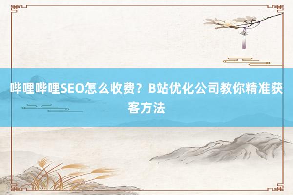 哔哩哔哩SEO怎么收费？B站优化公司教你精准获客方法