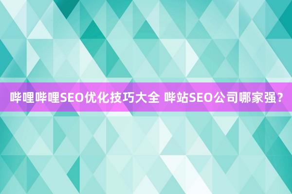 哔哩哔哩SEO优化技巧大全 哔站SEO公司哪家强？