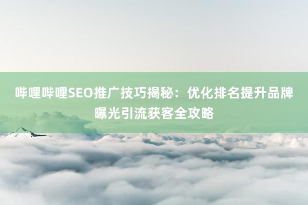 哔哩哔哩SEO推广技巧揭秘：优化排名提升品牌曝光引流获客全攻略