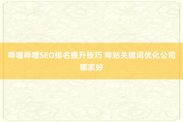 哔哩哔哩SEO排名提升技巧 哔站关键词优化公司哪家好