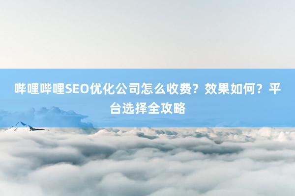 哔哩哔哩SEO优化公司怎么收费？效果如何？平台选择全攻略