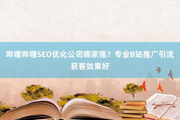 哔哩哔哩SEO优化公司哪家强？专业B站推广引流获客效果好