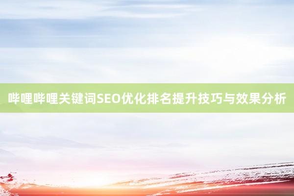 哔哩哔哩关键词SEO优化排名提升技巧与效果分析