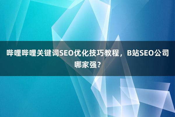 哔哩哔哩关键词SEO优化技巧教程，B站SEO公司哪家强？
