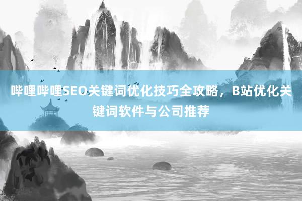 哔哩哔哩SEO关键词优化技巧全攻略，B站优化关键词软件与公司推荐