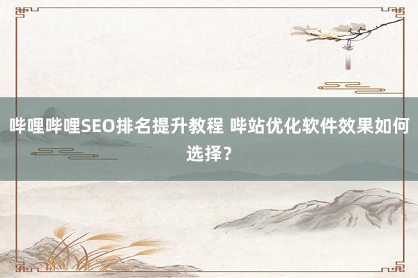 哔哩哔哩SEO排名提升教程 哔站优化软件效果如何选择？