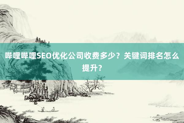 哔哩哔哩SEO优化公司收费多少？关键词排名怎么提升？