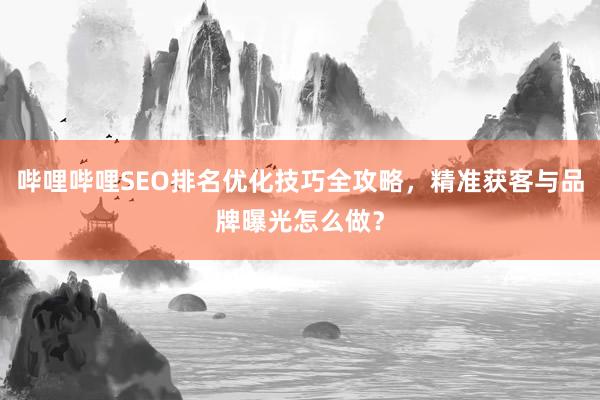 哔哩哔哩SEO排名优化技巧全攻略，精准获客与品牌曝光怎么做？