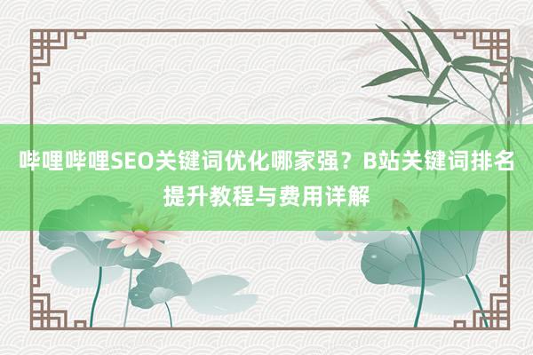 哔哩哔哩SEO关键词优化哪家强？B站关键词排名提升教程与费用详解