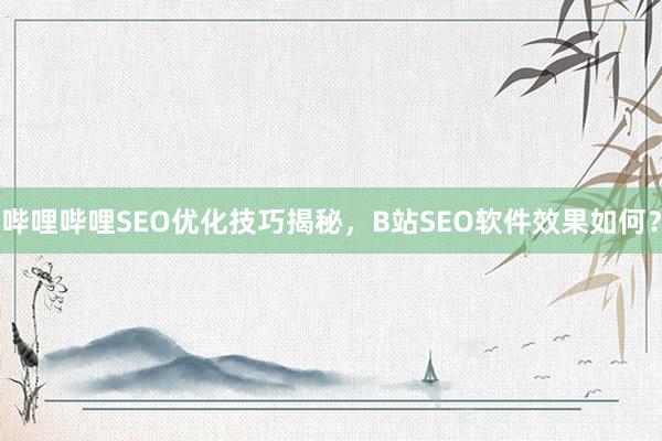 哔哩哔哩SEO优化技巧揭秘，B站SEO软件效果如何？