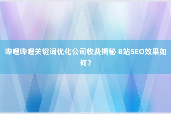 哔哩哔哩关键词优化公司收费揭秘 B站SEO效果如何？