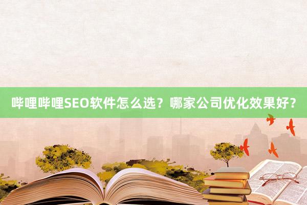 哔哩哔哩SEO软件怎么选？哪家公司优化效果好？