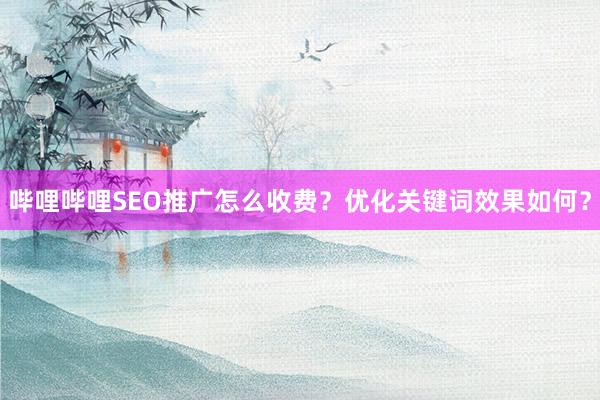 哔哩哔哩SEO推广怎么收费？优化关键词效果如何？