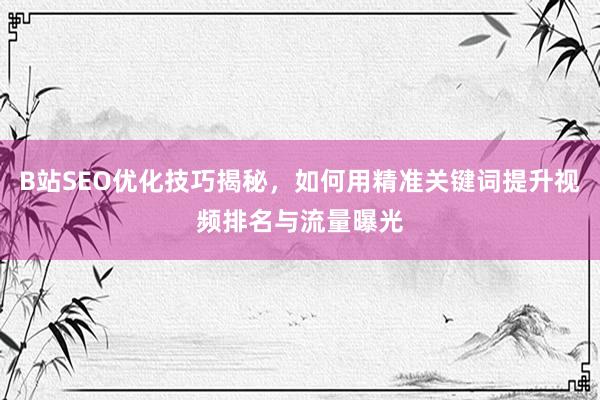 B站SEO优化技巧揭秘，如何用精准关键词提升视频排名与流量曝光