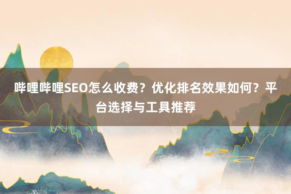 哔哩哔哩SEO怎么收费？优化排名效果如何？平台选择与工具推荐