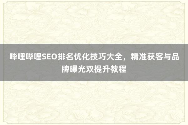 哔哩哔哩SEO排名优化技巧大全，精准获客与品牌曝光双提升教程