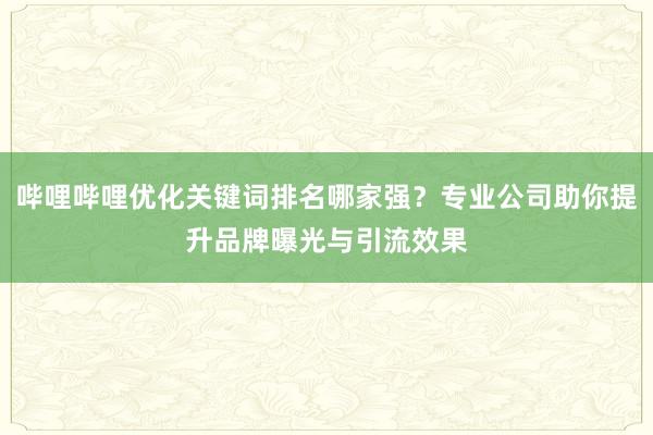 哔哩哔哩优化关键词排名哪家强？专业公司助你提升品牌曝光与引流效果