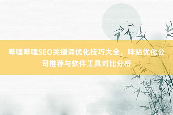 哔哩哔哩SEO关键词优化技巧大全，哔站优化公司推荐与软件工具对比分析