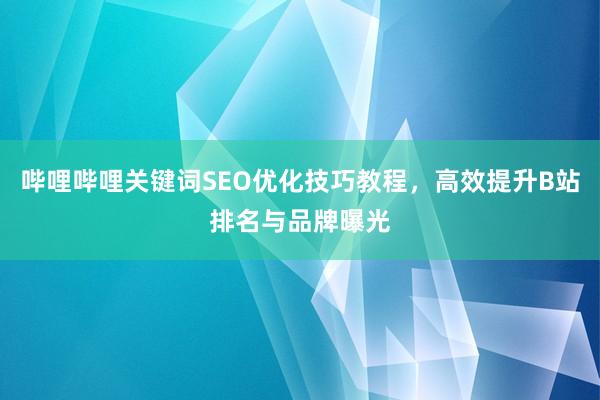 哔哩哔哩关键词SEO优化技巧教程，高效提升B站排名与品牌曝光