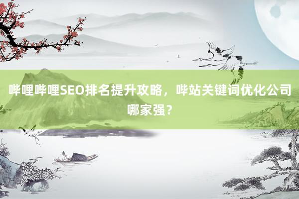 哔哩哔哩SEO排名提升攻略，哔站关键词优化公司哪家强？