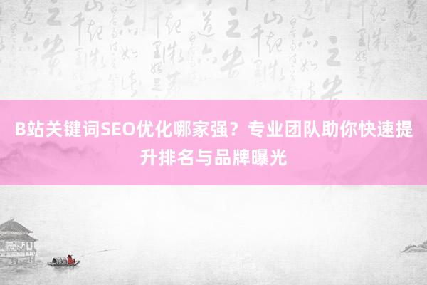 B站关键词SEO优化哪家强？专业团队助你快速提升排名与品牌曝光