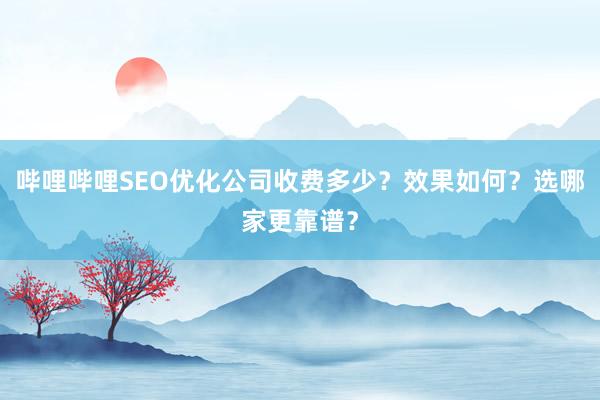 哔哩哔哩SEO优化公司收费多少？效果如何？选哪家更靠谱？