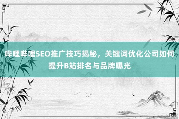 哔哩哔哩SEO推广技巧揭秘，关键词优化公司如何提升B站排名与品牌曝光