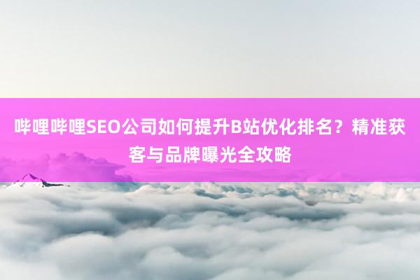 哔哩哔哩SEO公司如何提升B站优化排名？精准获客与品牌曝光全攻略