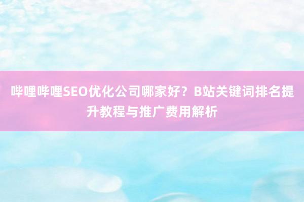 哔哩哔哩SEO优化公司哪家好？B站关键词排名提升教程与推广费用解析