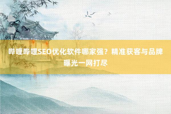 哔哩哔哩SEO优化软件哪家强？精准获客与品牌曝光一网打尽