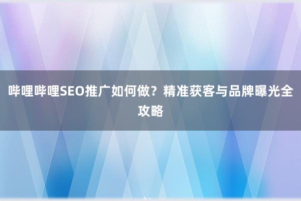 哔哩哔哩SEO推广如何做？精准获客与品牌曝光全攻略