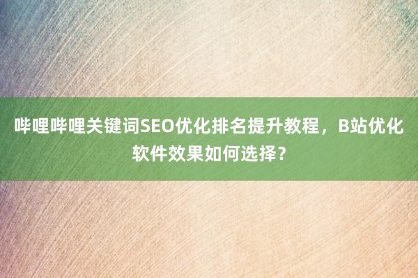 哔哩哔哩关键词SEO优化排名提升教程，B站优化软件效果如何选择？
