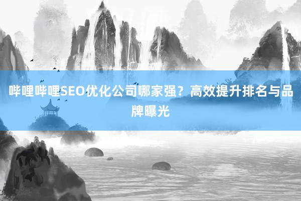 哔哩哔哩SEO优化公司哪家强？高效提升排名与品牌曝光