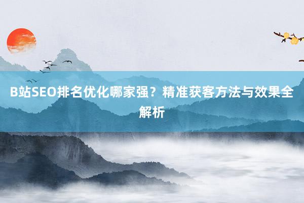 B站SEO排名优化哪家强？精准获客方法与效果全解析