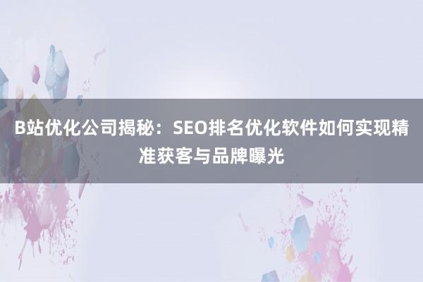 B站优化公司揭秘：SEO排名优化软件如何实现精准获客与品牌曝光