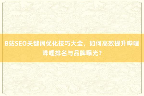 B站SEO关键词优化技巧大全，如何高效提升哔哩哔哩排名与品牌曝光？
