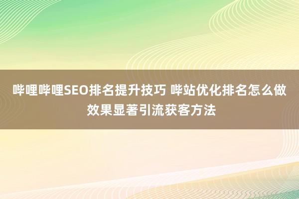 哔哩哔哩SEO排名提升技巧 哔站优化排名怎么做 效果显著引流获客方法