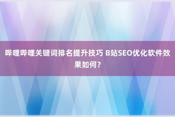 哔哩哔哩关键词排名提升技巧 B站SEO优化软件效果如何？