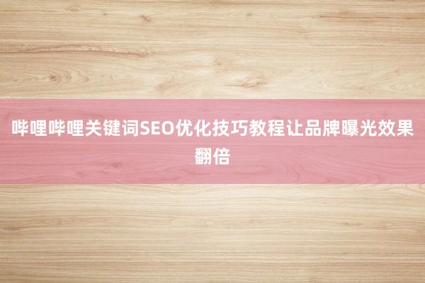 哔哩哔哩关键词SEO优化技巧教程让品牌曝光效果翻倍