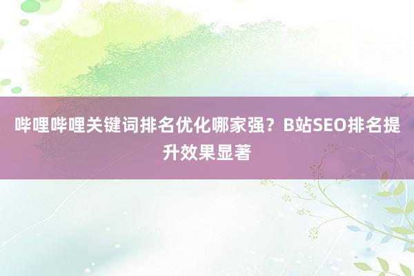 哔哩哔哩关键词排名优化哪家强？B站SEO排名提升效果显著