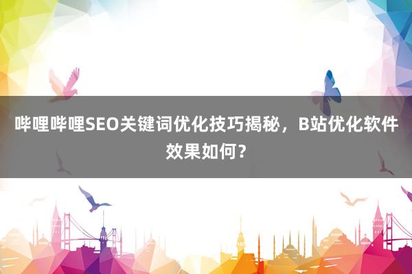 哔哩哔哩SEO关键词优化技巧揭秘，B站优化软件效果如何？