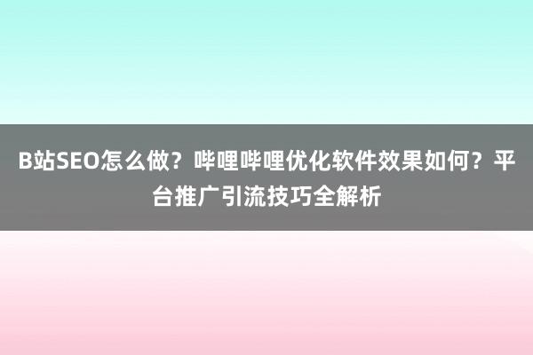 B站SEO怎么做？哔哩哔哩优化软件效果如何？平台推广引流技巧全解析